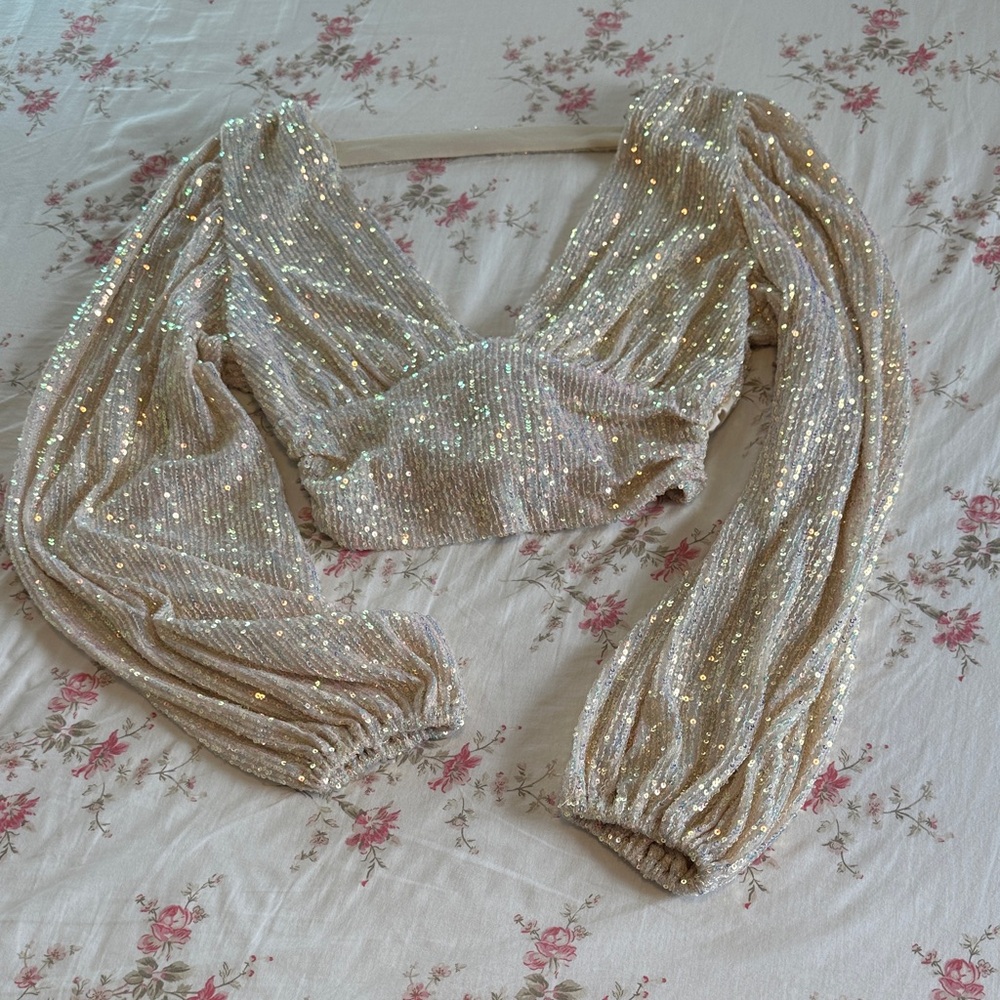 Sequin Long Sleeve Crop Top